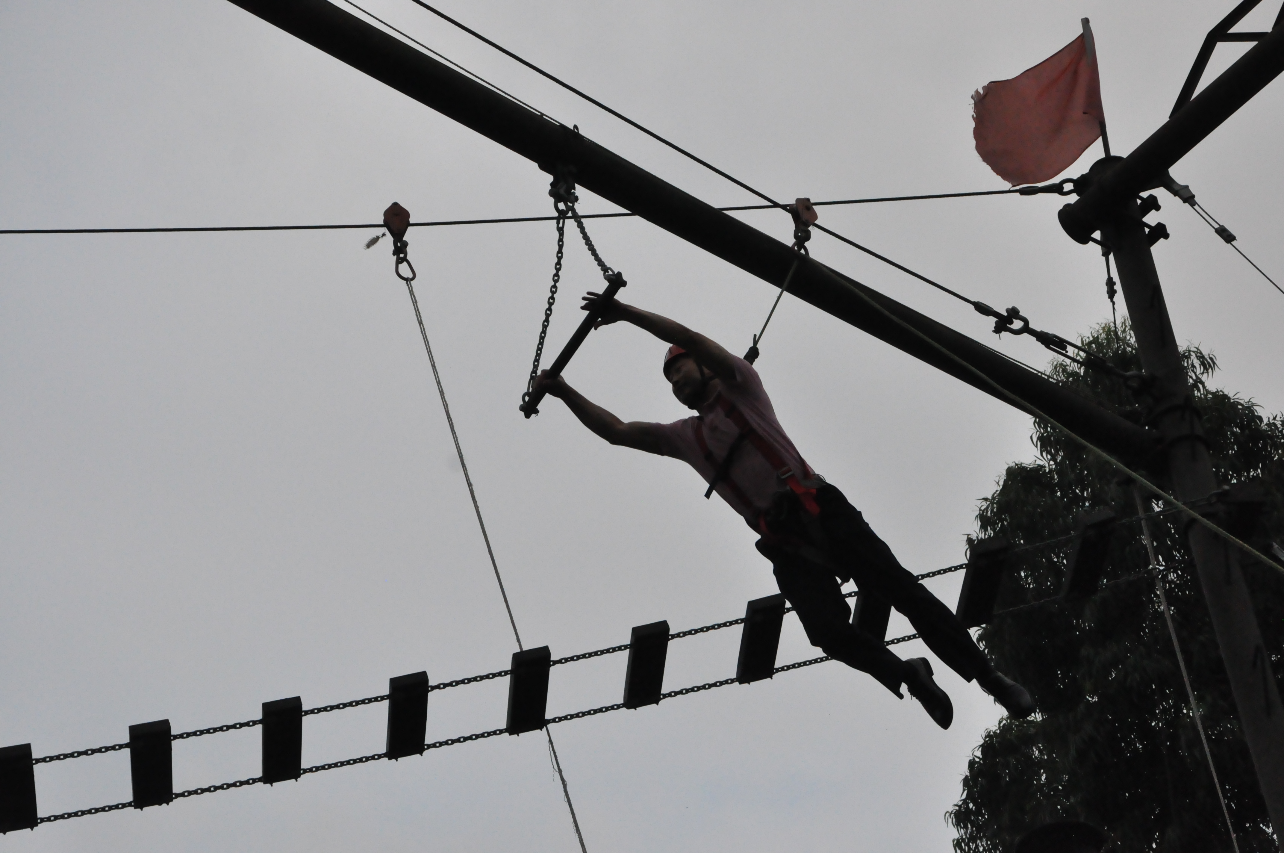 点此在新窗口浏览图片